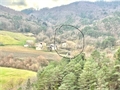 Photo numero 46936125 du bien UBI467010983